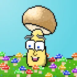 33741781216748986518517832568595493503429706584982134247768926026103932321793