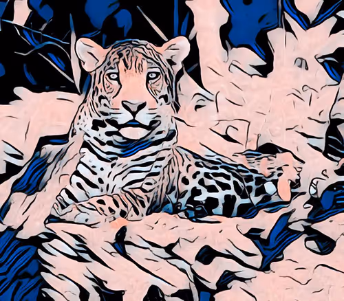 Item #82244815338335975995626956678558285696607744151531562021403392228541660659737 Media