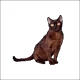 7917608709568526609042417006664391966594597627541652161018316717434546946049