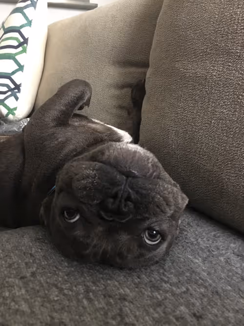 Item #99031261785432219130552668818269695456905868997165113515571762470983835844609 Media