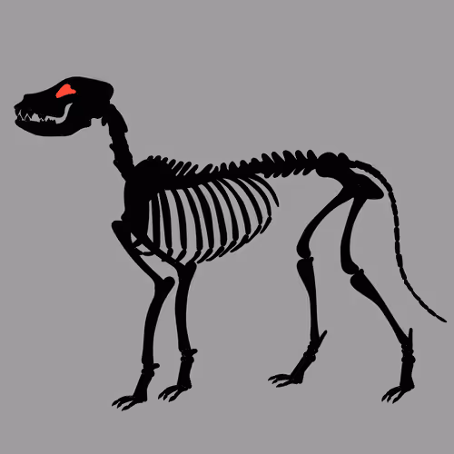 Item #66115251428437251400949335005857765940906863007353817121707627062725615550465 Media