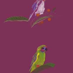 parrot2