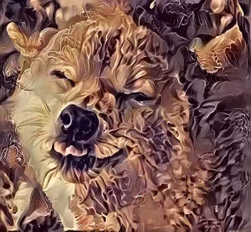 Item #5042196700551420236931532000275918672442471905934098577197183439724347392100 Media