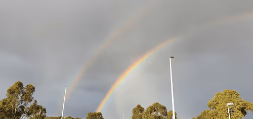 Untitled Collection #58045576