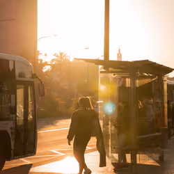 Salió el Sol.