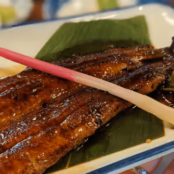 Grilled eel in Traditional Japanese inn Hashimoto
