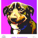 21368880601515633364790203656478147572170412280649718579122624013582240579586