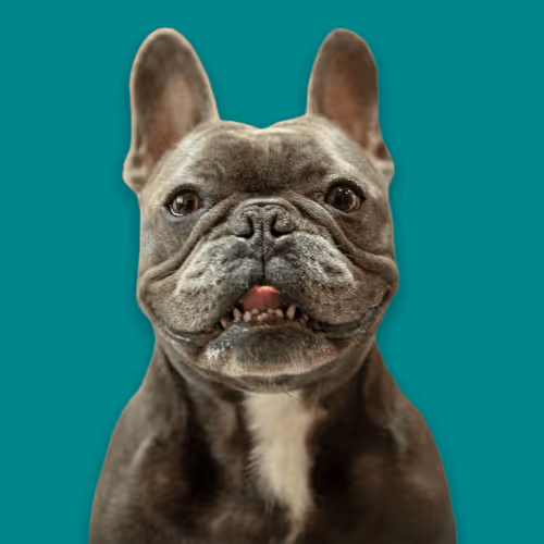 Item #99031261785432219130552668818269695456905868997165113515571762264275649822721 Media