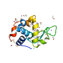 Item #59334117117279908919326586416284354943781775533468435051884907536659964231681 Media