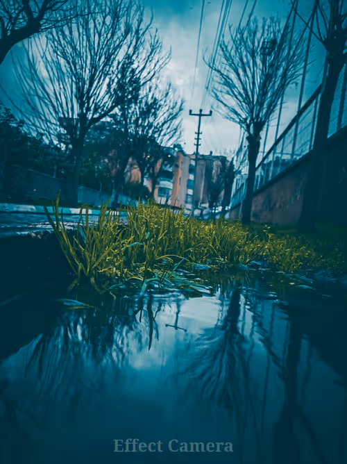 Item #75869817590340460685317939374360076253263101056567316776239183285441492156417 Media