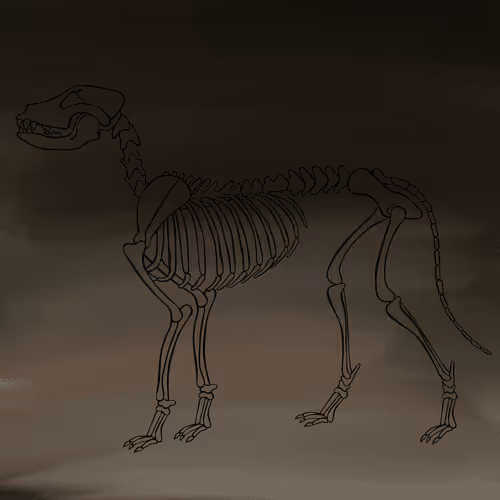 Item #66115251428437251400949335005857765940906863007353817121707627045133429506049 Media