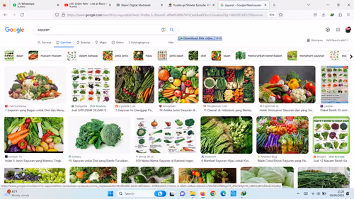 Item #75323586068943373800248833392416062368820774085870048691007312323083822432257 Media