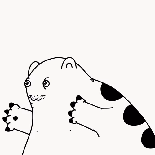 Chunky Cat