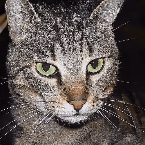 Item #106393158711752592444527764053332067386103257112262188176365270173112197971969 Media