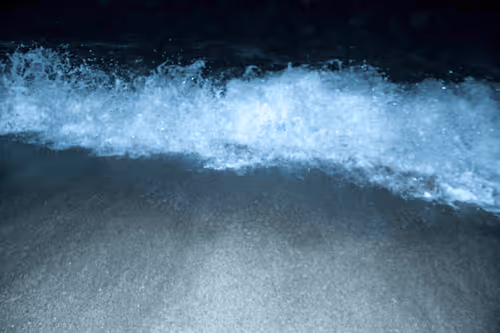 Item #65334289746679534718729475887804441956060191570096093289886828100375168417793 Media