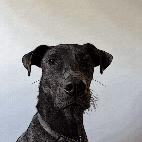 Item #51248183749348236146371365488248401109026090195749860833283607882587713830913 Media