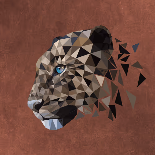 Item #20896448118686648895018850071563603312663007578941629509204544150585670107137 Media