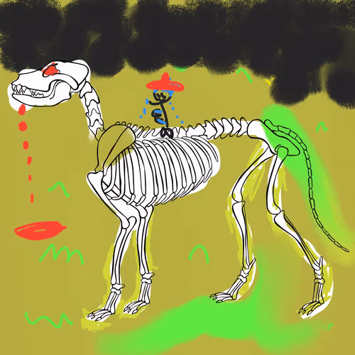 Item #66115251428437251400949335005857765940906863007353817121707627024242708578305 Media