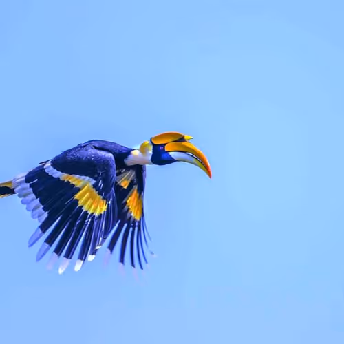 14571506913454205627656743203225782770632742565437799673199566814796245368833