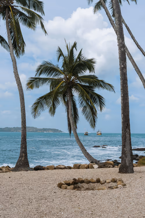 Item #48474301322995807969240274513334363728541577812615842985785900181732764680193 Media