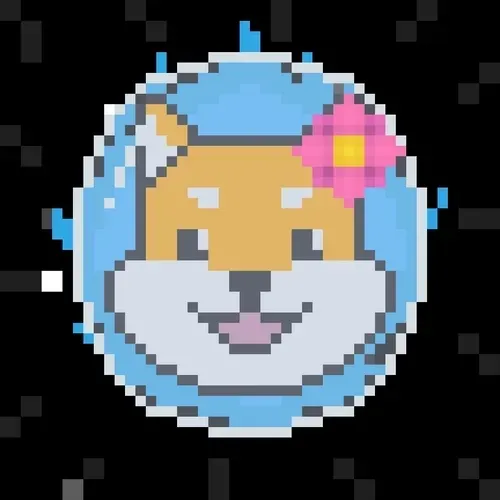 Rocket Shiba #8914