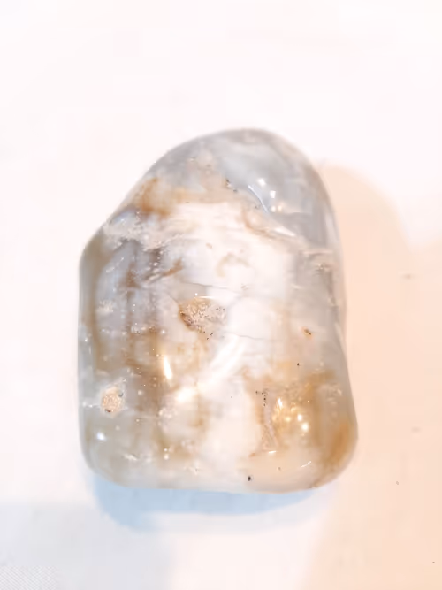 Item #26409782478920172212075597278062749897568846616851332060012248116730055884801 Media