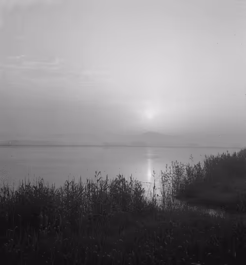 Item #41566941370655854347562860096205975994093068298500129734894383015353905063696 Media