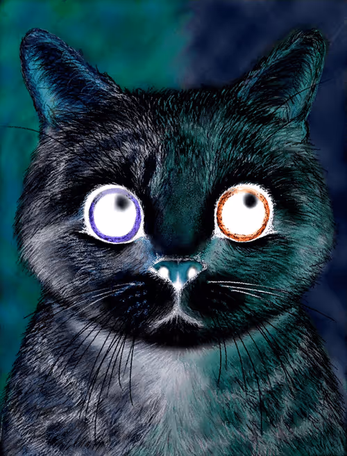 Item #56621992303262747893271366005093707345711101762340673219461019459677503619073 Media