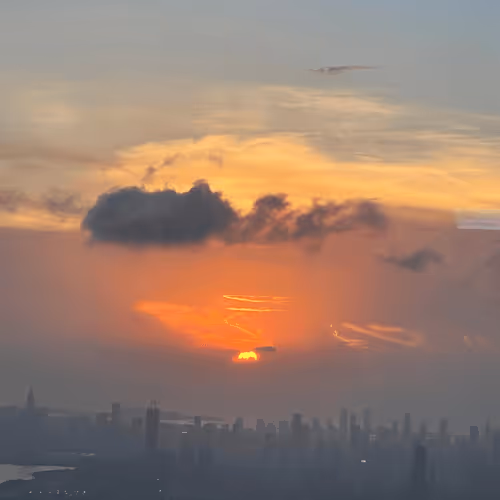 Untitled Collection #60985023