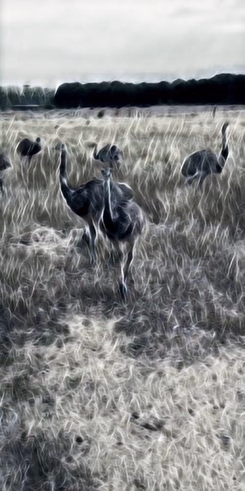 Item #8651498271250357396440676192848533063446167115421124880697921206351311142913 Media