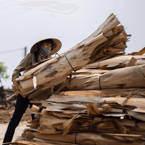 Item #80488266671287018131558448213082272878703229800970441297784273643381628862465 Media