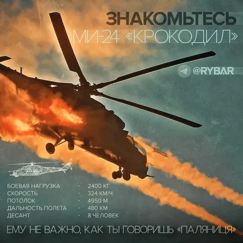 Item #42859009001016246632263995231491744008716163956391912516090367092338773196810 Media