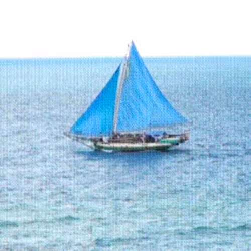 Untitled Collection #28223324