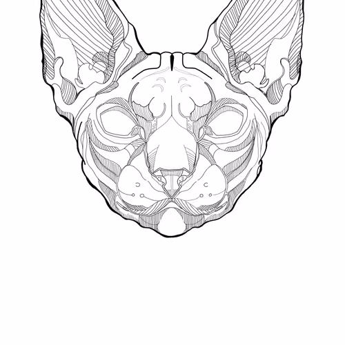 84297988521860449487920326360898468511054866812923401198130100103052521373697