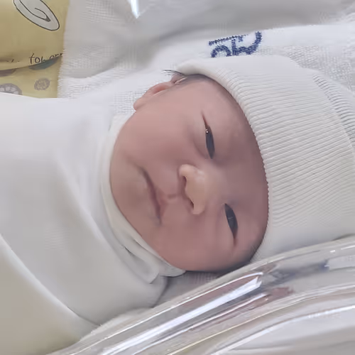 Untitled Collection #28232570