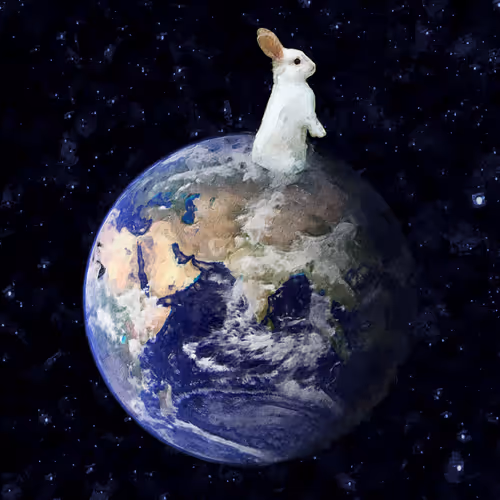 Item #13910190648762315662079710704856078939723140793853213427019058222645412626433 Media