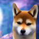 48092848155592791033737047707504176614859072702867415740379203275194795819009