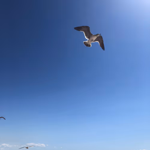 Untitled Collection #105861661