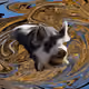 53180631642456764738139299674940583640479914081960747744151191780581447827457