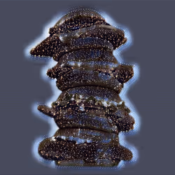 103021099077614825187577421930856695141498909813172536276445923600615524532225