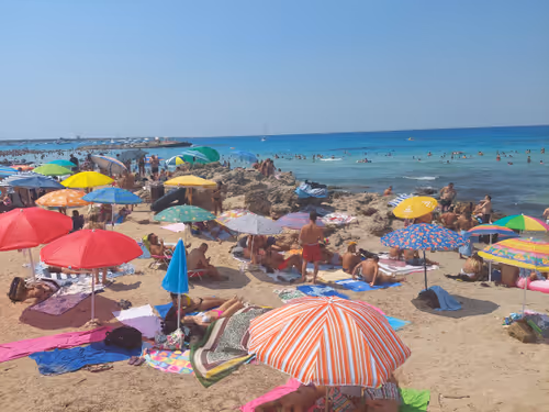 Item #43505702085321246701285015339688837487321998718285252344027785166638972665857 Media