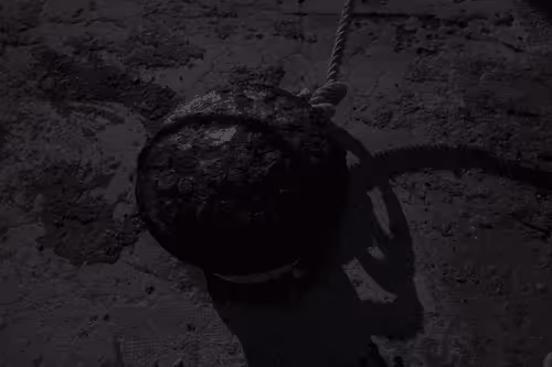 Item #99206175731752603969632246751396839615347692654100145142238794311589200658434 Media