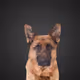 4533931704157539176609705925845237186532635652684101965047620307071333826561