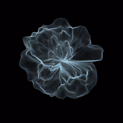 18759924406358215724923482506863726690825718187468732832128033117906724192356