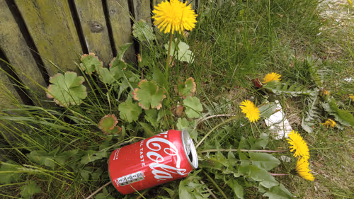 Item #98679578177621649628089872010712381059223698631184272161596299636657040130049 Media