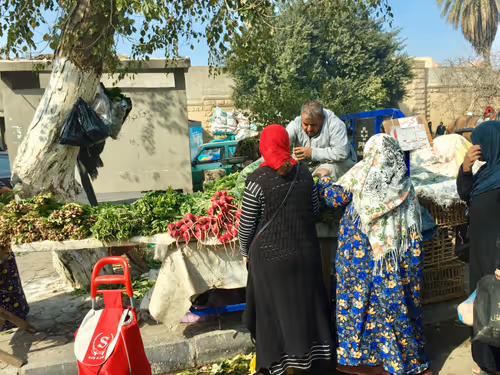 Item #96587523373113111080358341550985904879588799302857967207124218652930728787969 Media