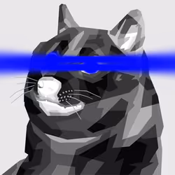 80893678975398868428438087841645057028053817072498051598704705890653703241729