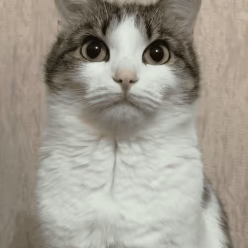 Tvitni