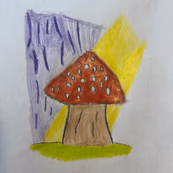 Magic Mushroom