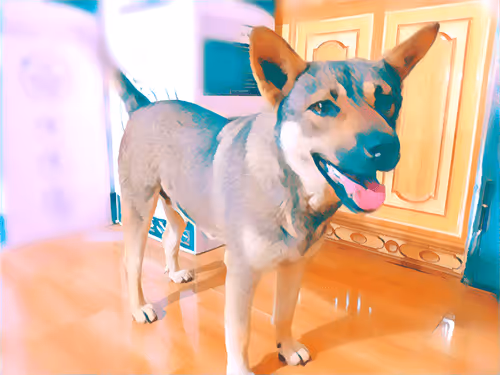 Item #74122138759525378795667626270866148487737655975912799548892275482090497114113 Media